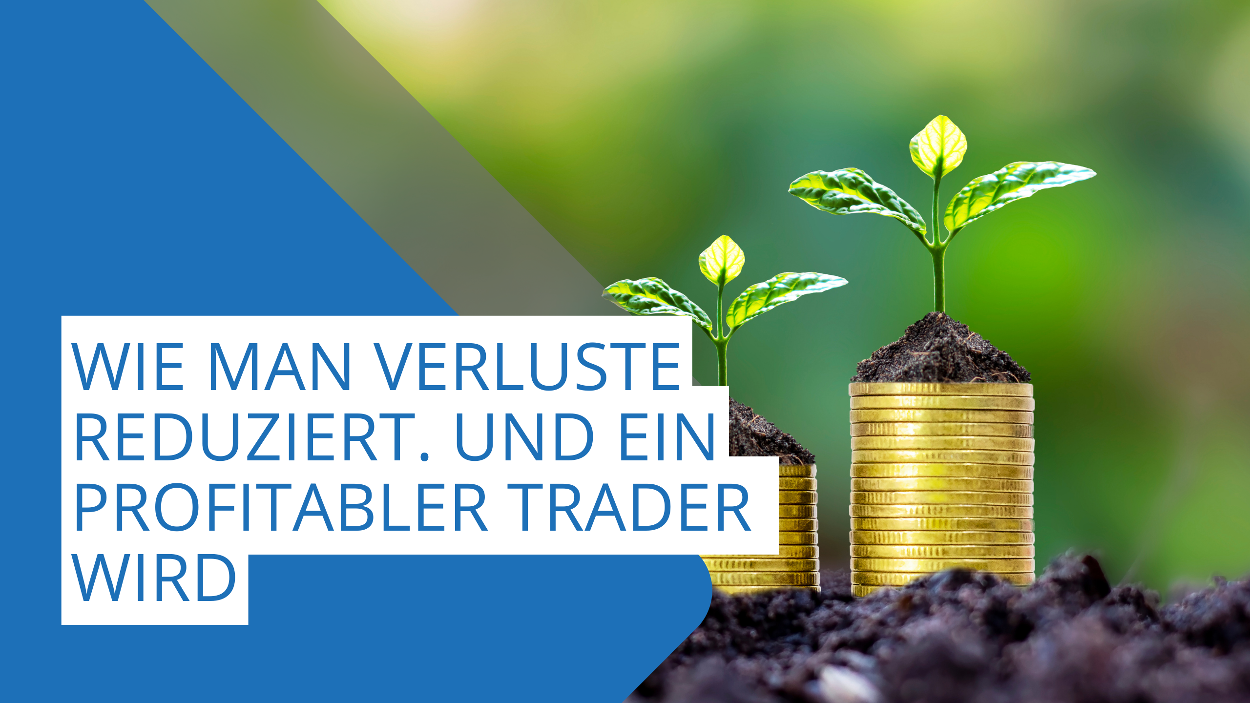 Wie man Verluste reduziert. Und ein profitabler Trader wird