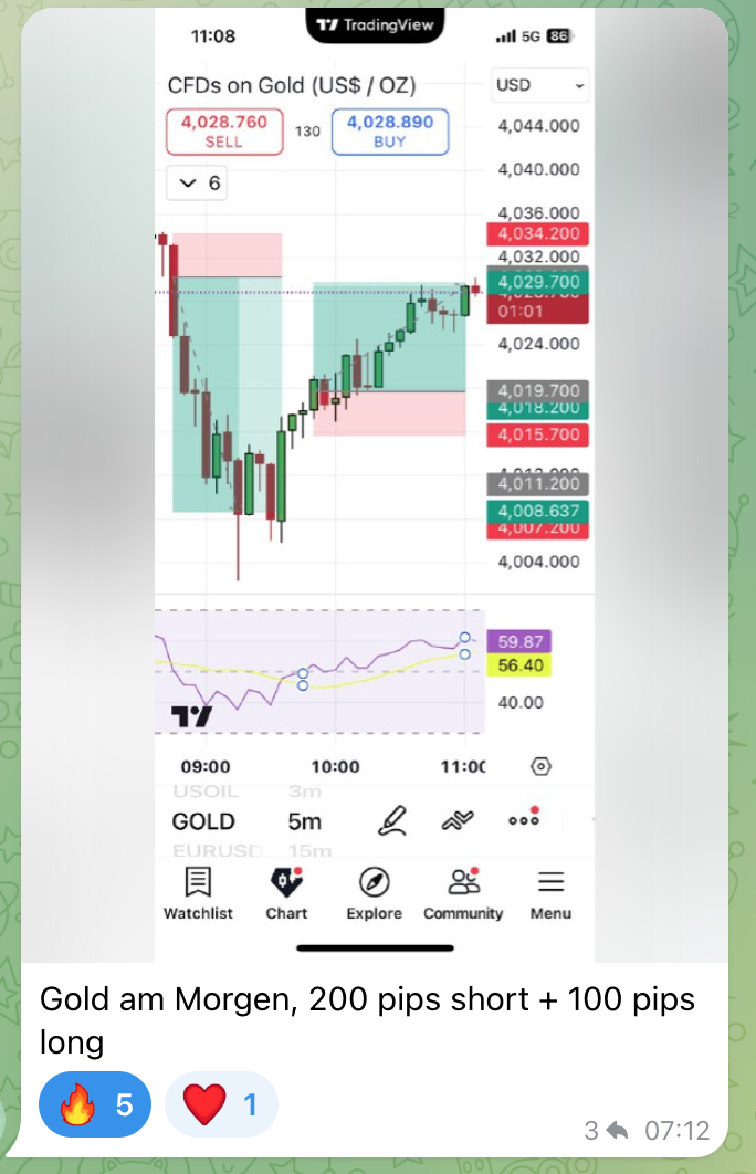 Forex Trading lernen