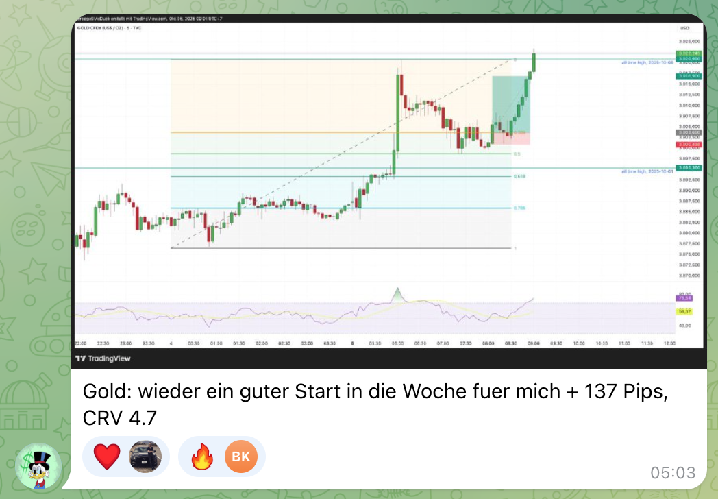4REX Impulse Erfahrungen